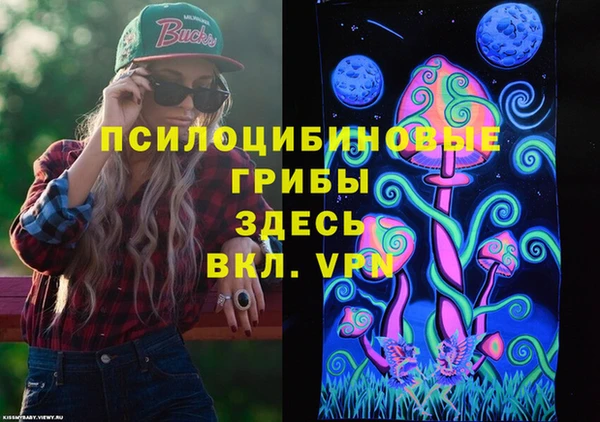 прущая мука Арсеньев