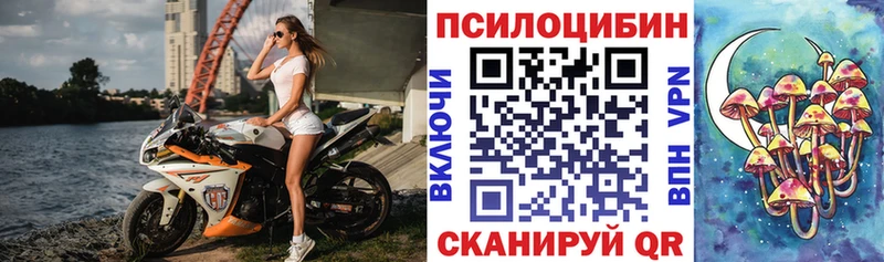 Псилоцибиновые грибы Cubensis  Рославль 